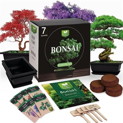 Komplet za uzgoj bonsai stabla